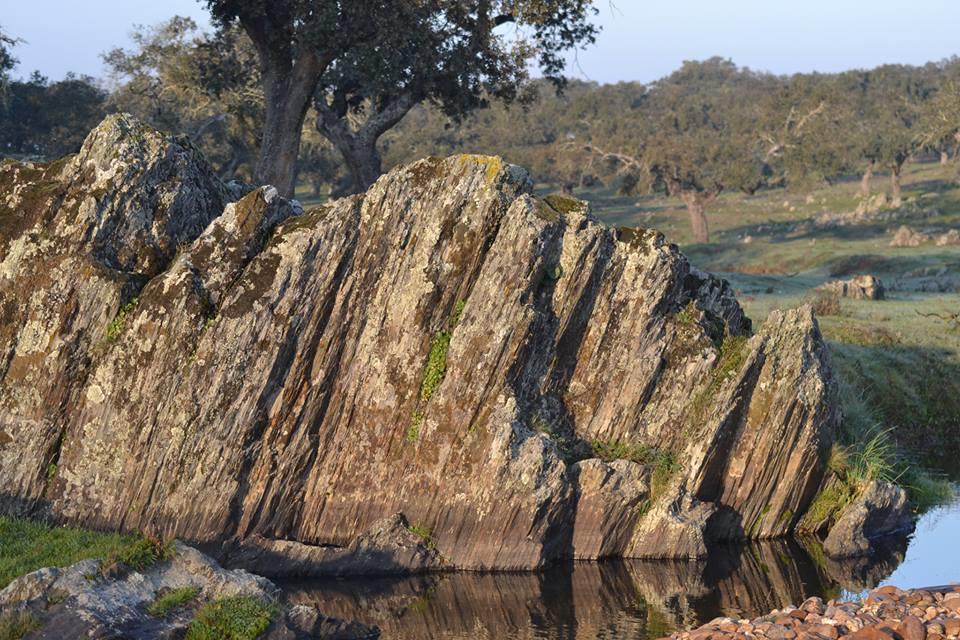 Casa Rural La Brena Talaván Kültér fotó