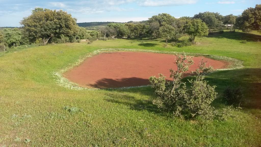 Casa Rural La Brena Talaván Kültér fotó